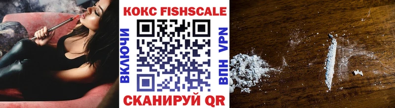 Купить закладки  Новохопёрск  COCAIN Эквадор 