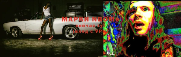 гидра Дмитровск