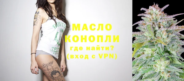 прущие грибы Анжеро-Судженск