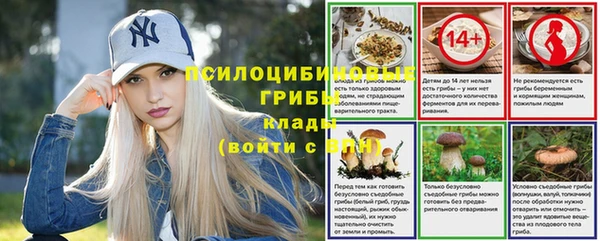 герыч Ельня