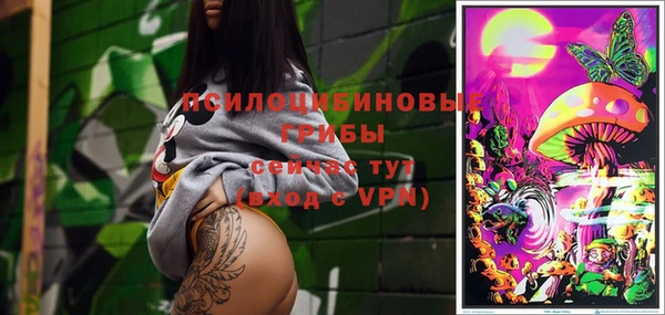 mdma Дмитриев