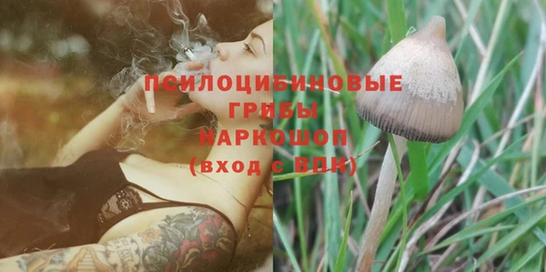 гидра Дмитровск