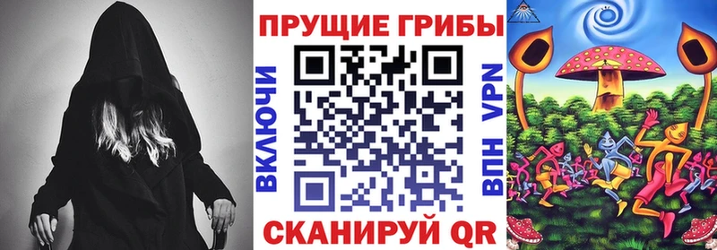 Купить закладки  Новохопёрск  Галлюциногенные грибы прущие грибы 